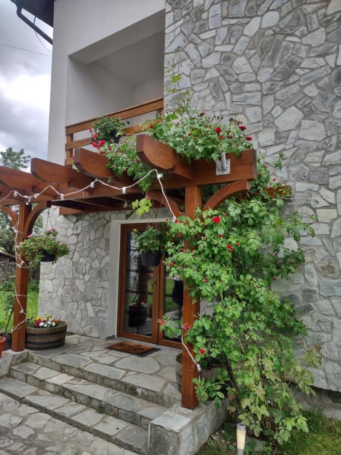 Pensiunea Codruta Cărpinişu Exterior foto