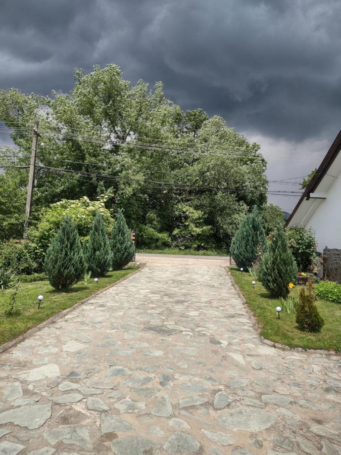 Pensiunea Codruta Cărpinişu Exterior foto