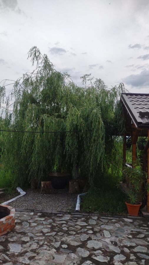 Pensiunea Codruta Cărpinişu Exterior foto