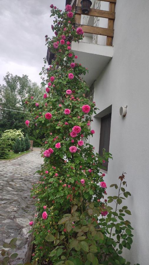 Pensiunea Codruta Cărpinişu Exterior foto