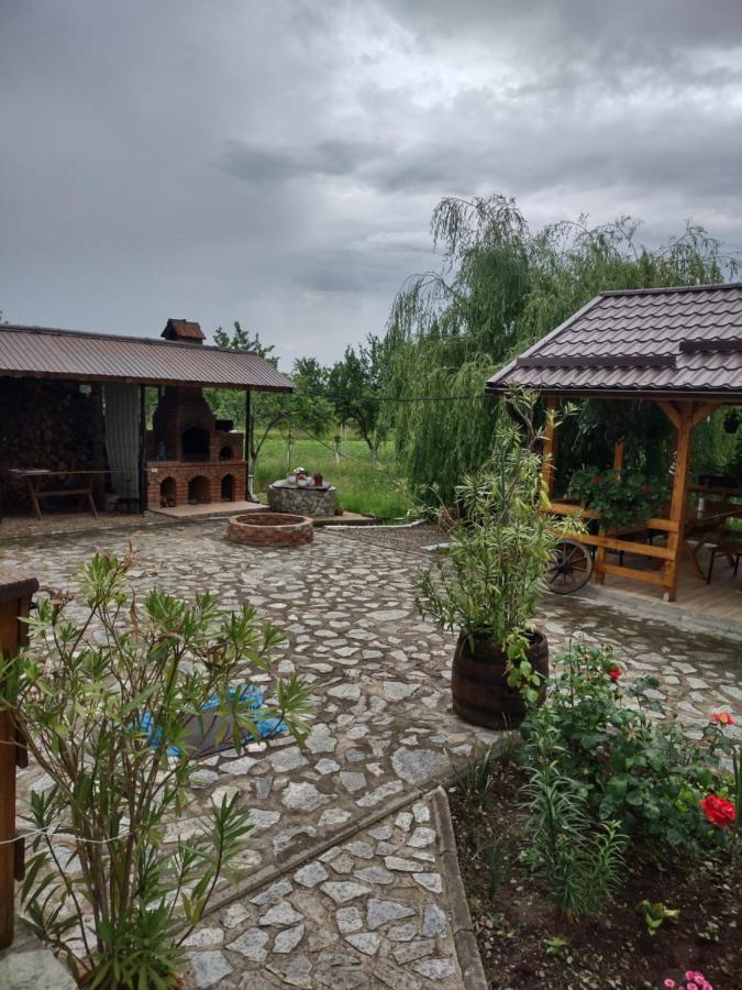 Pensiunea Codruta Cărpinişu Exterior foto