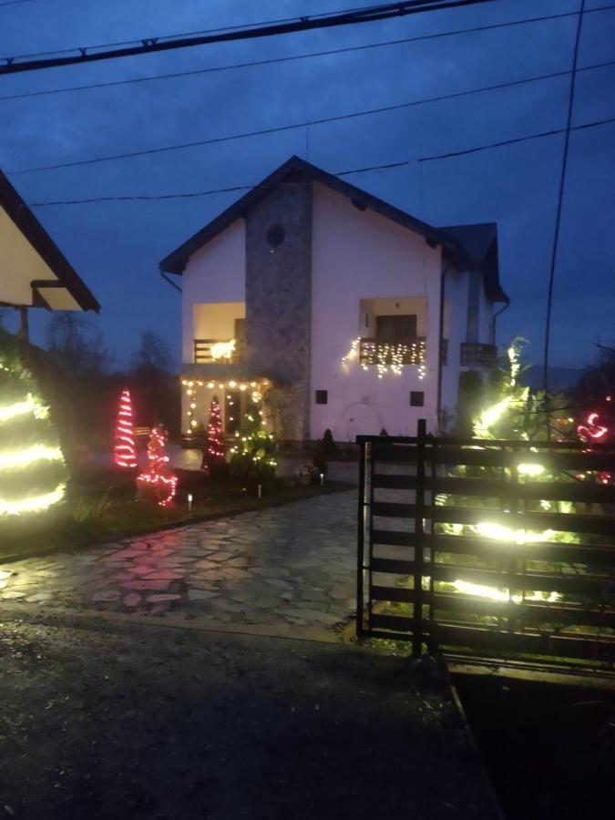 Pensiunea Codruta Cărpinişu Exterior foto