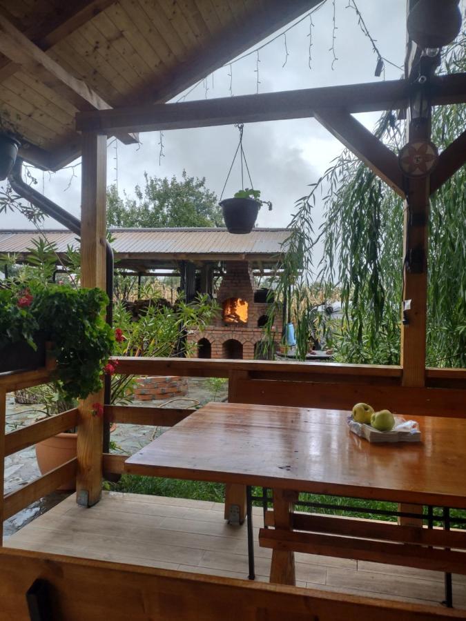 Pensiunea Codruta Cărpinişu Exterior foto