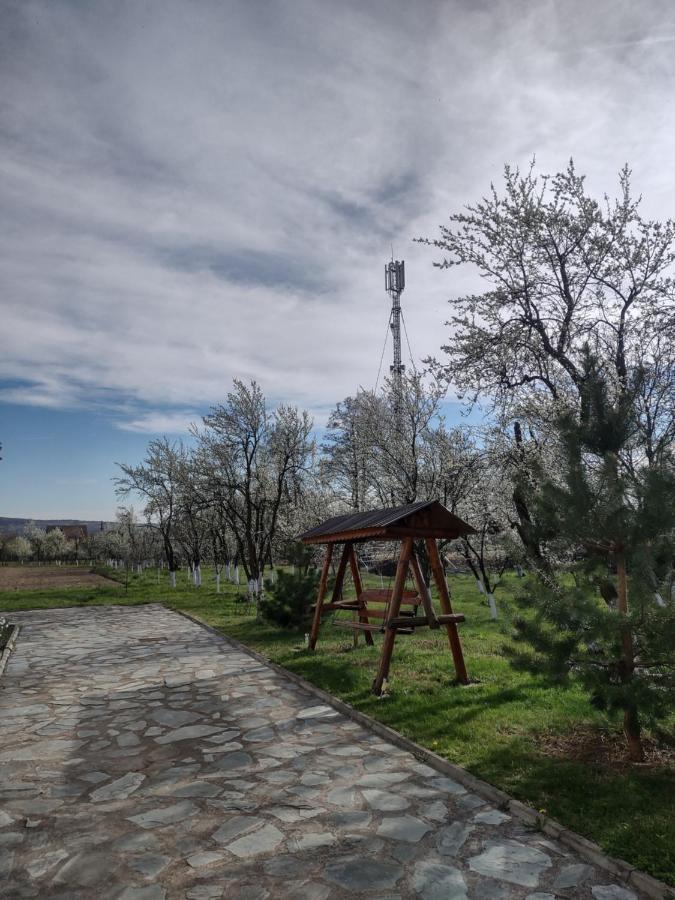 Pensiunea Codruta Cărpinişu Exterior foto