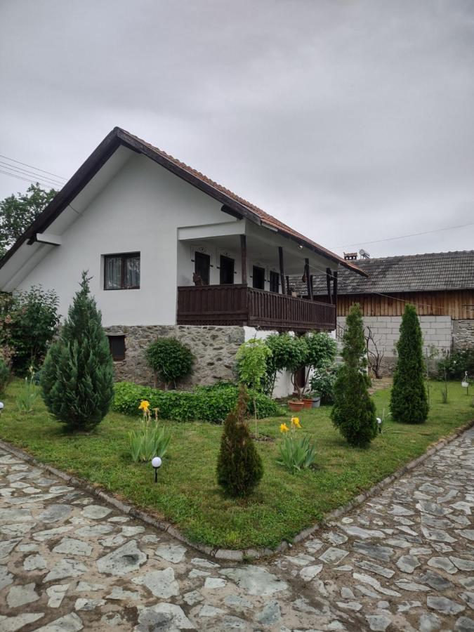 Pensiunea Codruta Cărpinişu Exterior foto