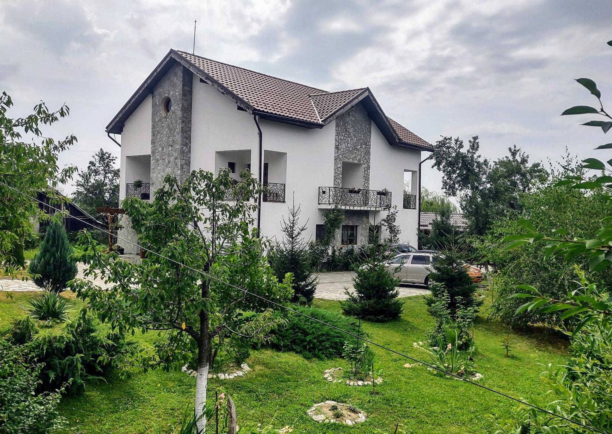 Pensiunea Codruta Cărpinişu Exterior foto
