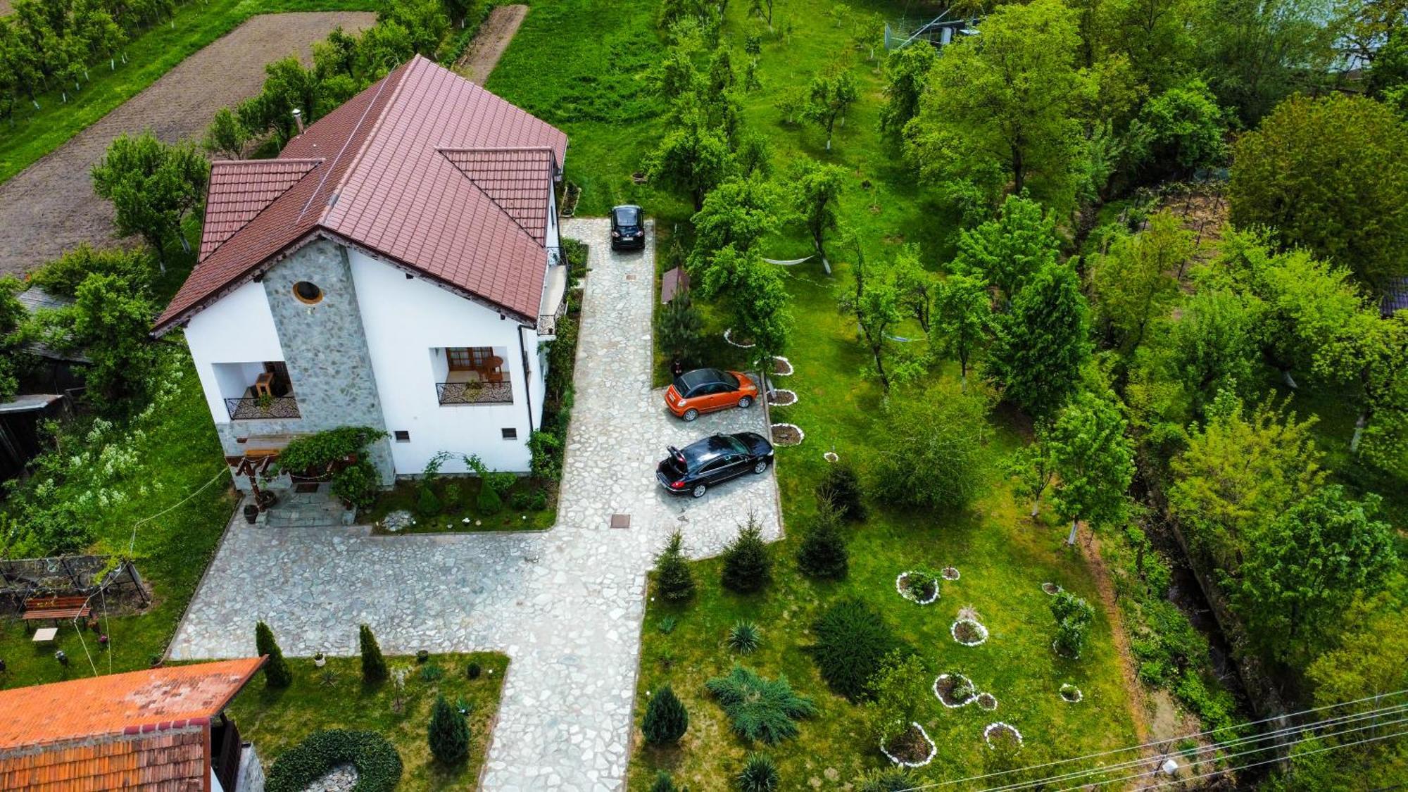 Pensiunea Codruta Cărpinişu Habitación foto