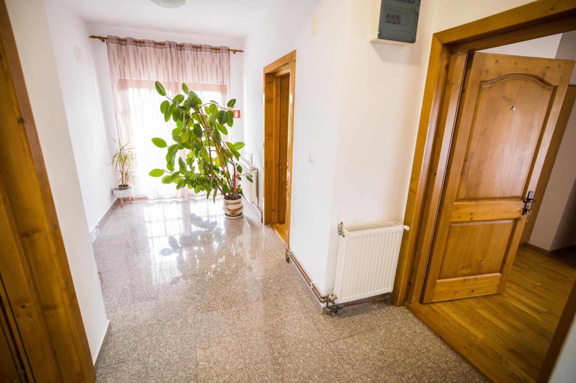 Pensiunea Codruta Cărpinişu Exterior foto