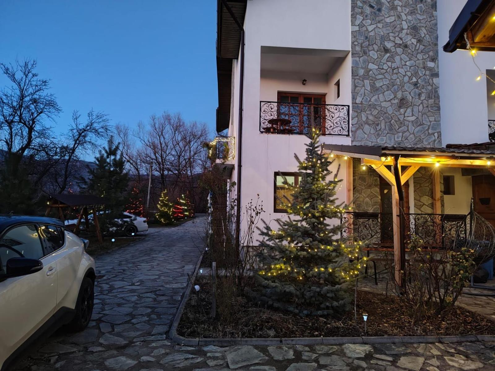 Pensiunea Codruta Cărpinişu Exterior foto