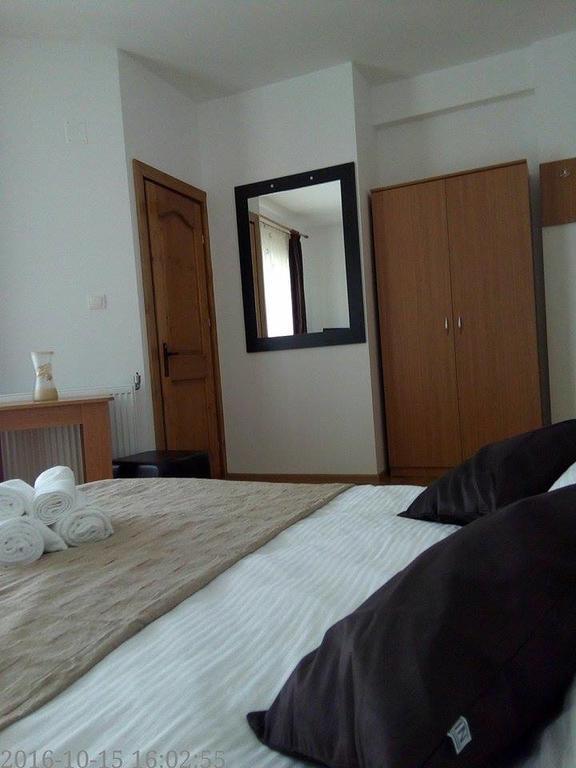 Pensiunea Codruta Cărpinişu Exterior foto