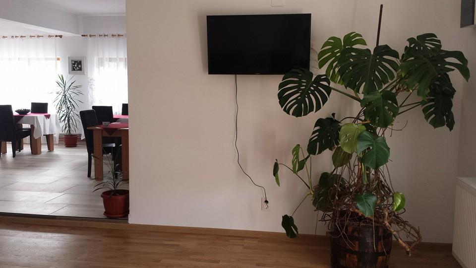 Pensiunea Codruta Cărpinişu Exterior foto