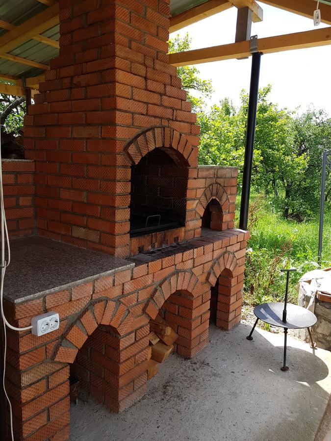 Pensiunea Codruta Cărpinişu Exterior foto