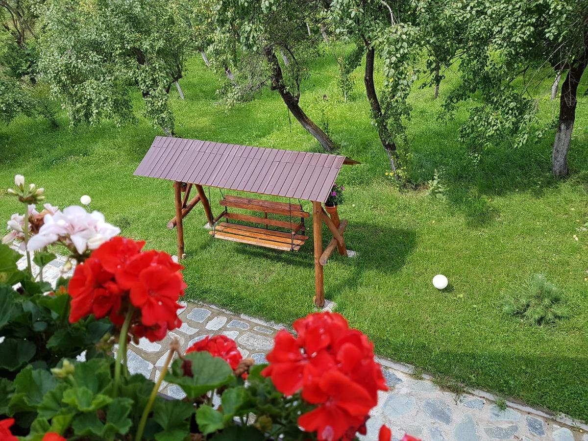 Pensiunea Codruta Cărpinişu Exterior foto
